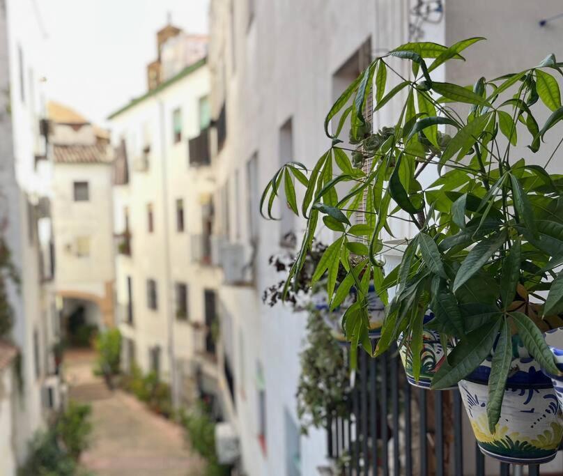 Apartamento Kenza Cordoba Dış mekan fotoğraf