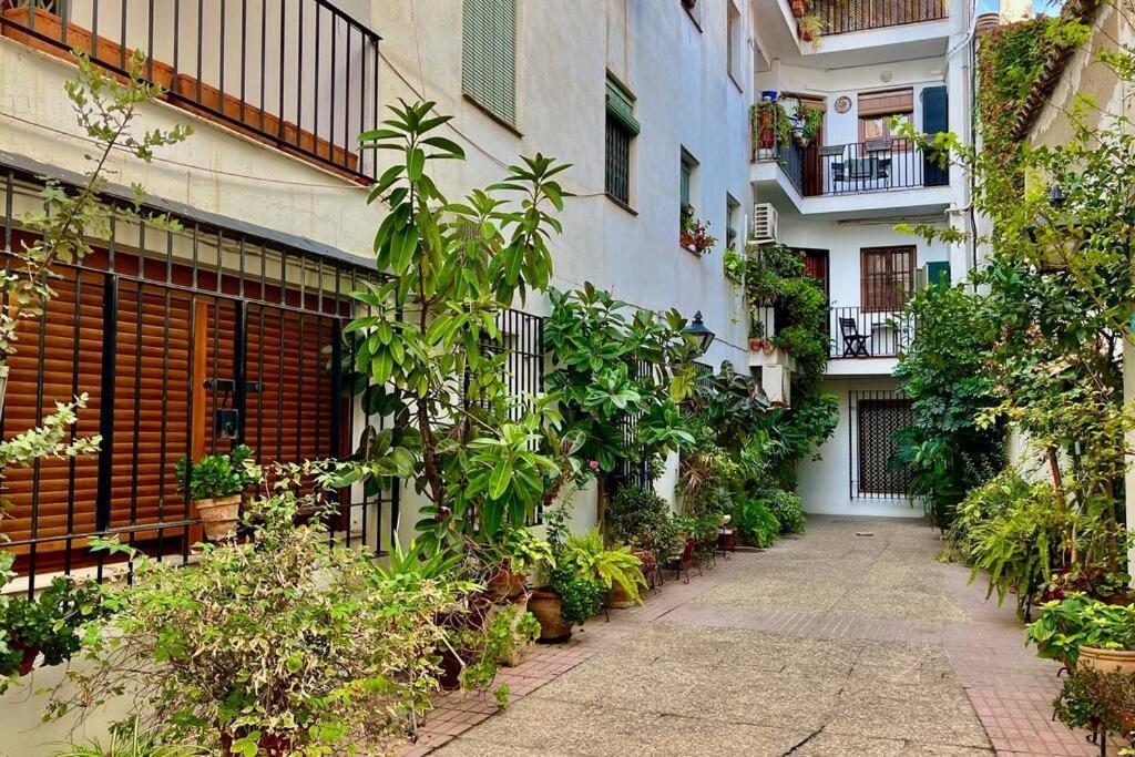Apartamento Kenza Cordoba Dış mekan fotoğraf