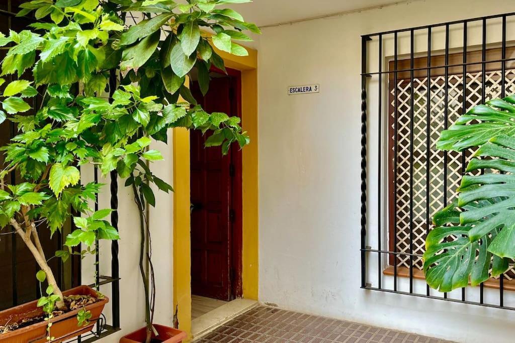 Apartamento Kenza Cordoba Dış mekan fotoğraf