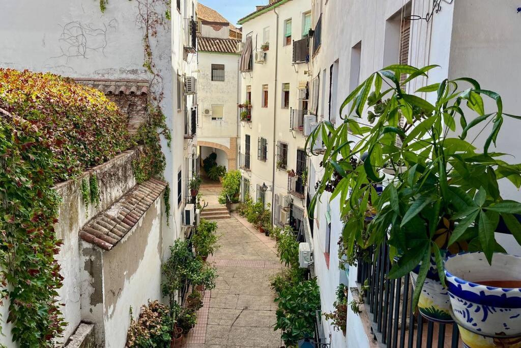Apartamento Kenza Cordoba Dış mekan fotoğraf